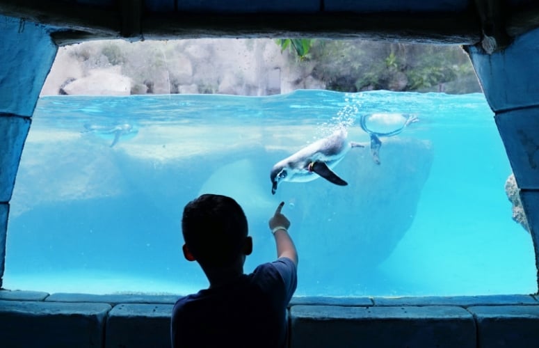 SeaWorld Orlando