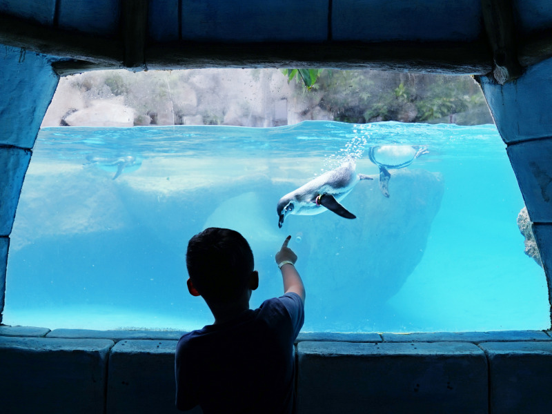 SeaWorld Orlando